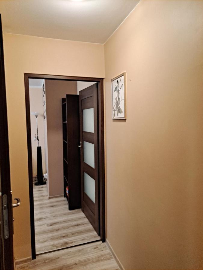 Monica Apartamento Jelenia Góra Exterior foto